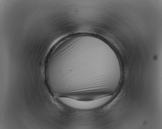 X0000094190830200711241613