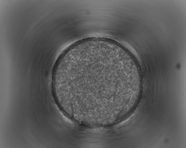 X0000094190831200711241613