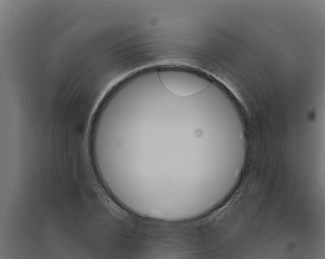 X0000094190832200711241613