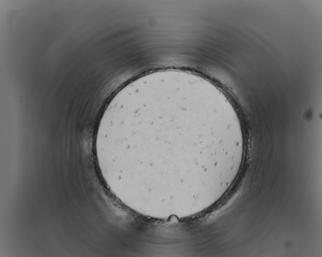 X0000094190833200711241613