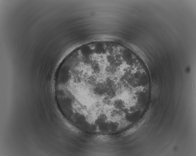 X0000094190835200711241613