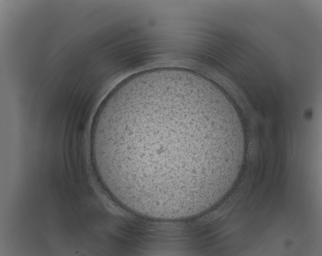 X0000094190836200711241613