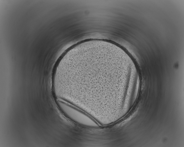 X0000094190837200711241613