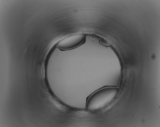 X0000094190838200711241613