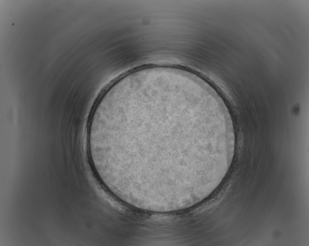 X0000094190840200711241613