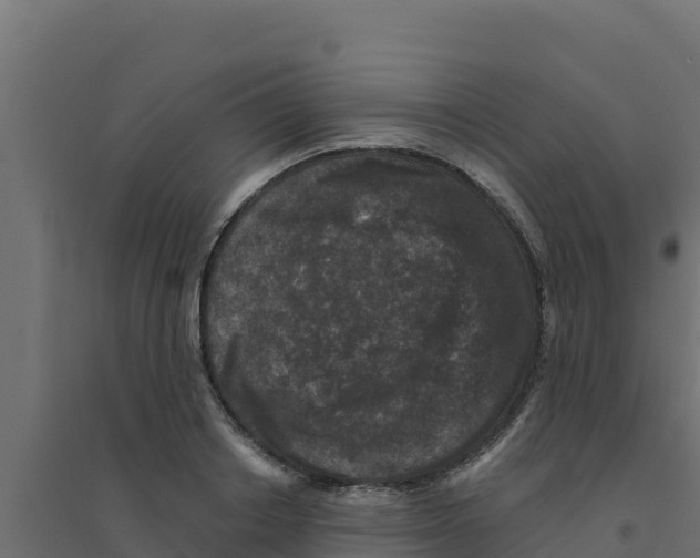 X0000094190842200711241613