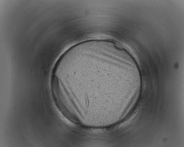 X0000094190843200711241613