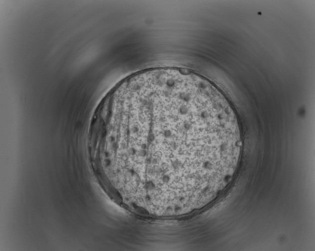 X0000094190844200711241613