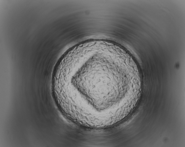 X0000094190845200711241613