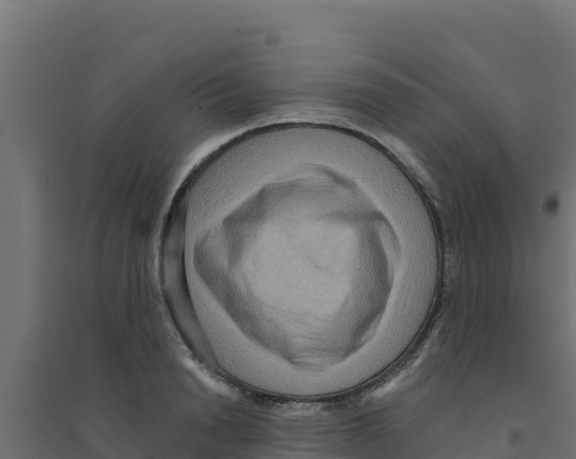 X0000094190846200711241613