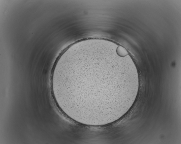 X0000094190848200711241613