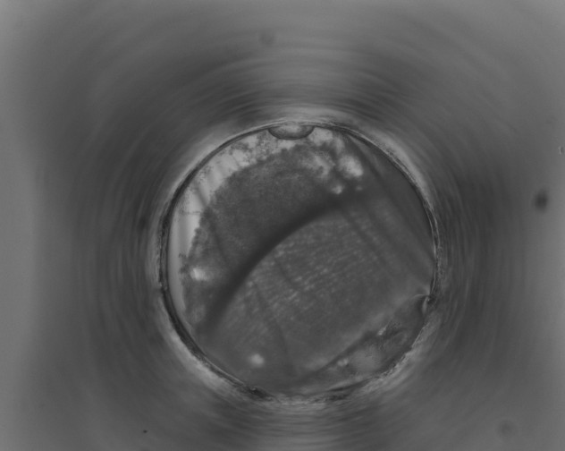 X0000094190851200711241613