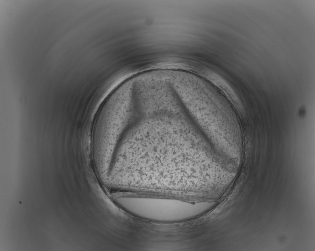 X0000094190852200711241613