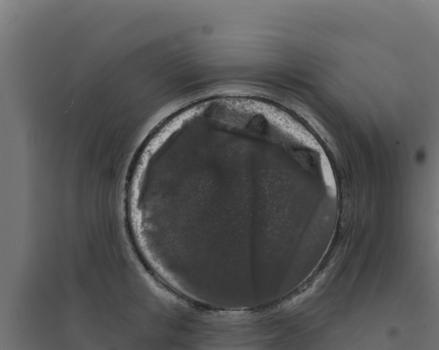 X0000094190853200711241613