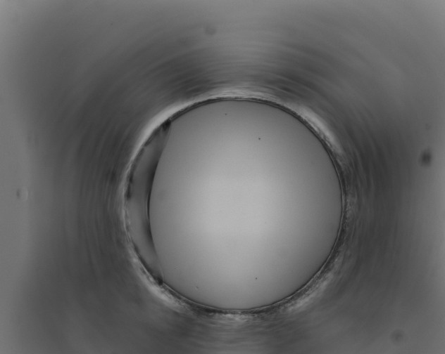 X0000094190854200711241613