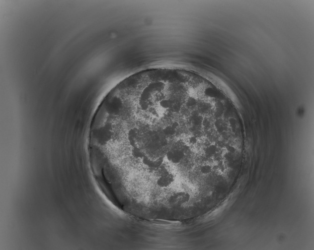 X0000094190855200711241613