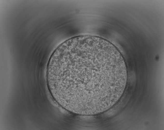 X0000094190856200711241613