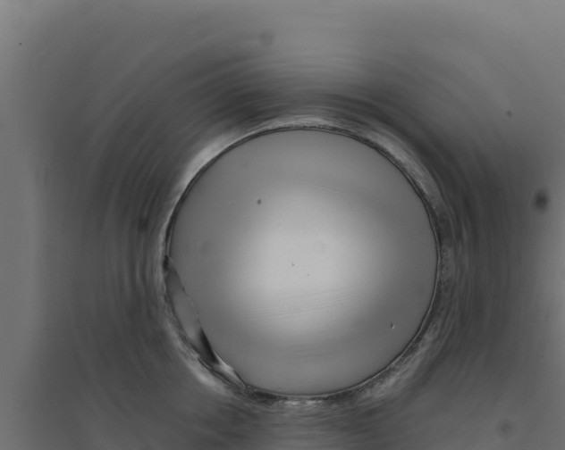 X0000094190858200711241613