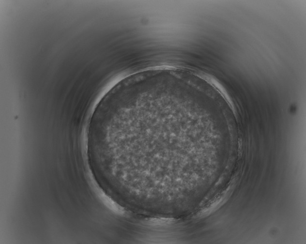 X0000094190859200711241614