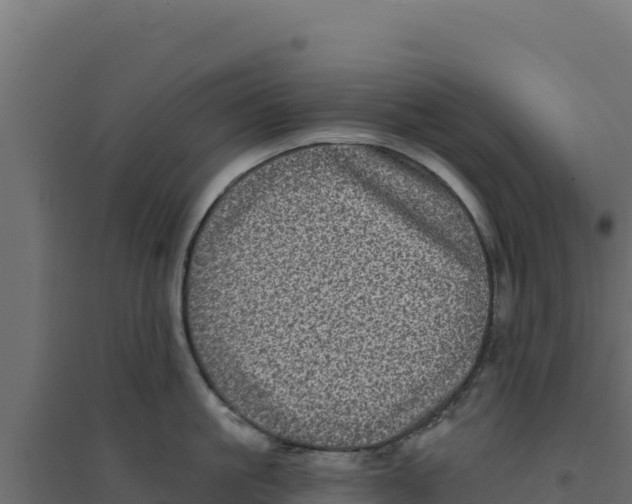 X0000094190861200711241614