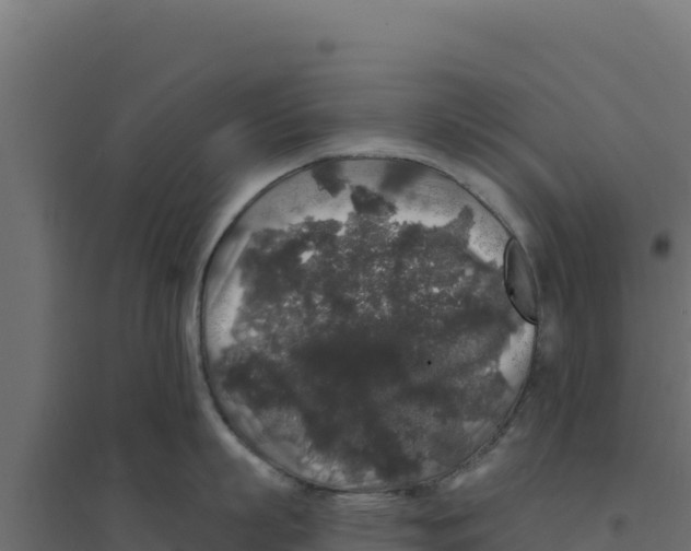 X0000094190863200711241614