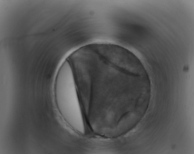 X0000094190864200711241614