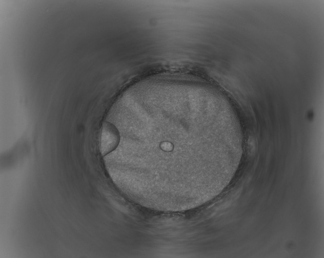 X0000094190865200711241613