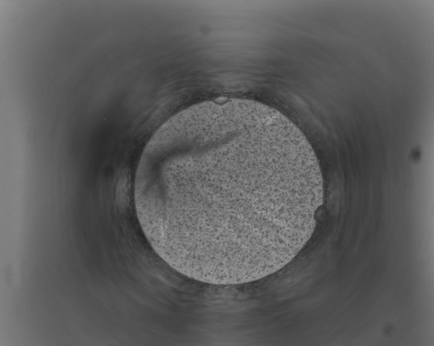 X0000094190866200711241613