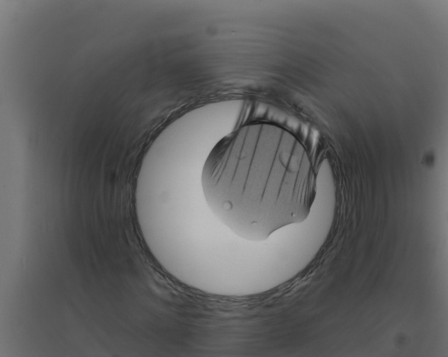 X0000094190868200711241613