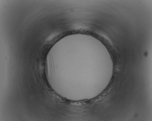 X0000094190869200711241613