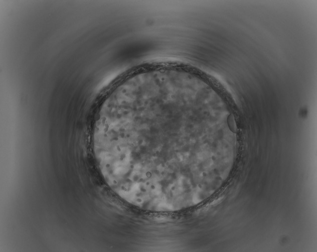 X0000094190871200711241613