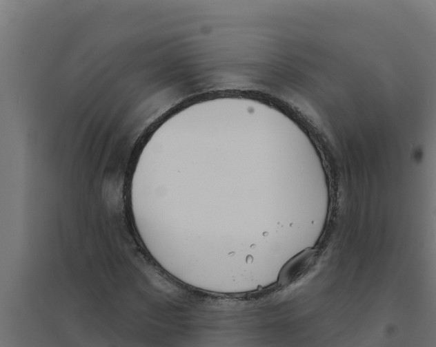 X0000094190873200711241613