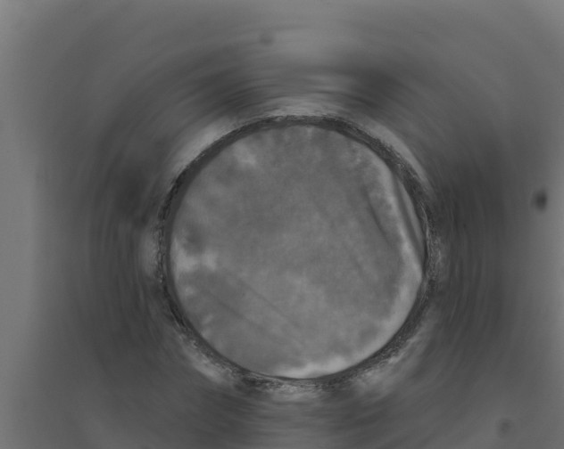 X0000094190874200711241613