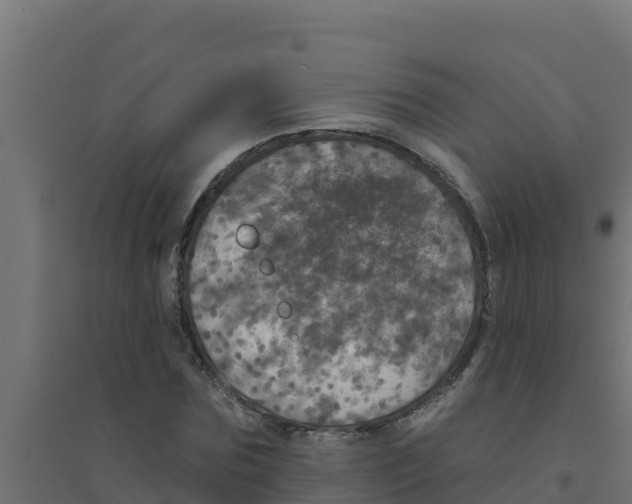 X0000094190875200711241613