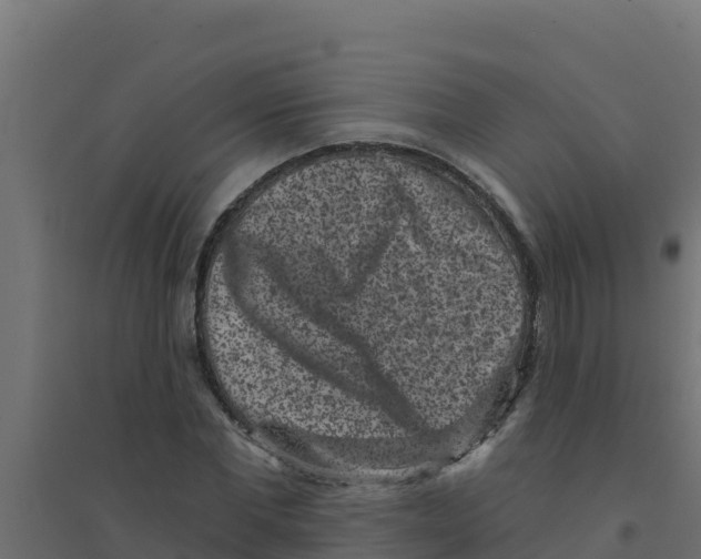 X0000094190877200711241613