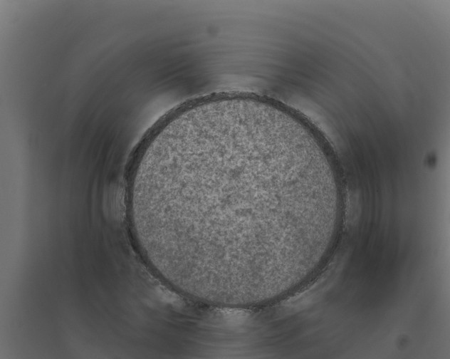 X0000094190878200711241613