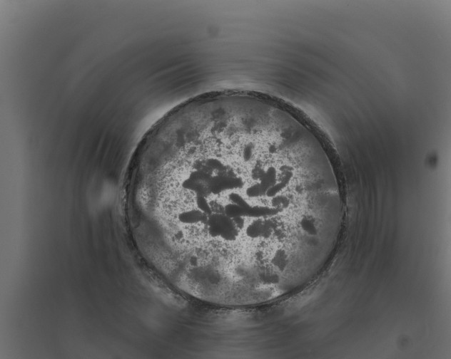 X0000094190879200711241613