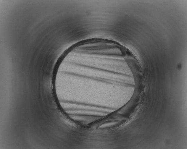 X0000094190880200711241613