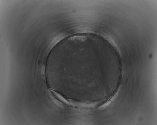 X0000094190881200711241613