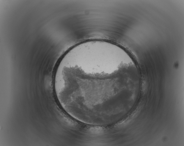 X0000094190882200711241613