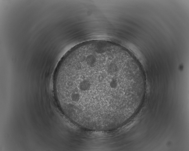 X0000094190883200711241613