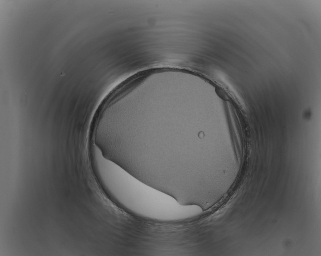 X0000094190884200711241613