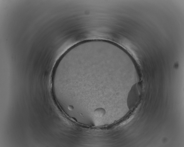 X0000094190885200711241613