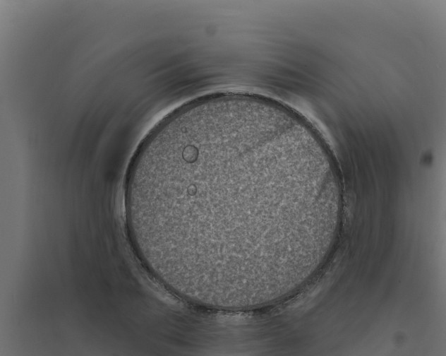 X0000094190887200711241613