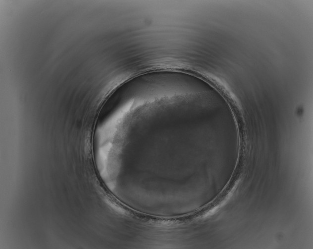 X0000094190889200711241613