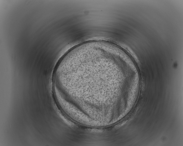 X0000094190890200711241613