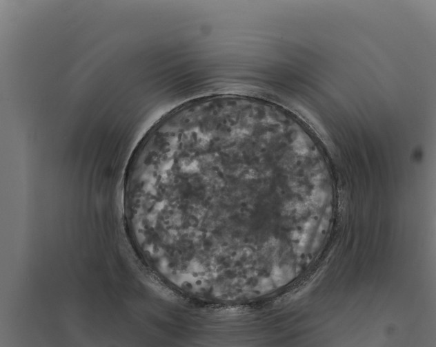 X0000094190891200711241613