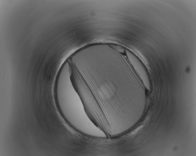 X0000094190893200711241613
