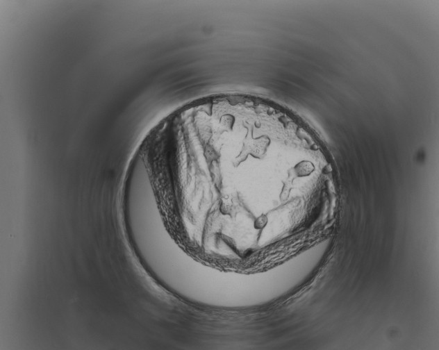 X0000094190895200711241612