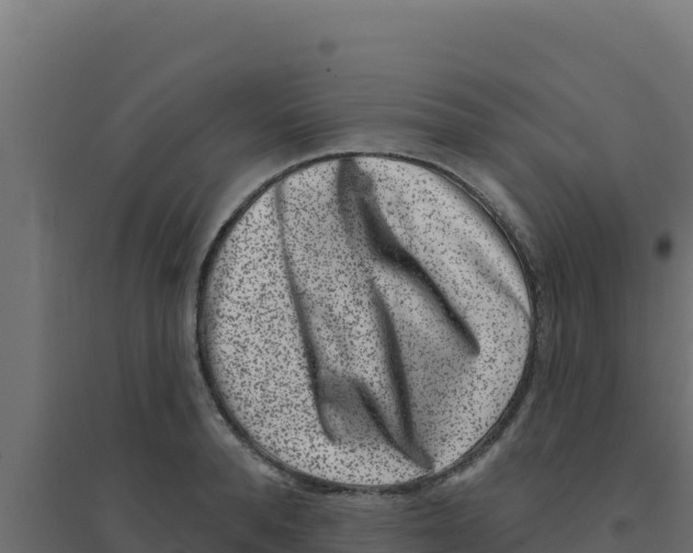 X0000094190896200711241612